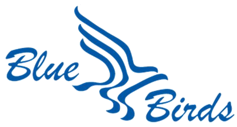 Logo Blue Birds Delft